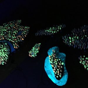 聖徳学園中学高等学校美術部「Art Forest」