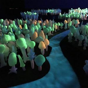 聖徳学園中学高等学校美術部「Art Forest」
