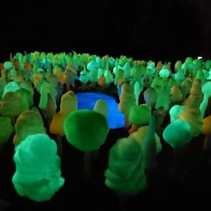 聖徳学園中学高等学校美術部「Art Forest」
