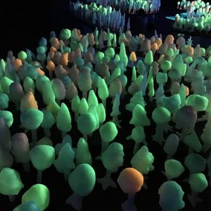 聖徳学園中学高等学校美術部「Art Forest」