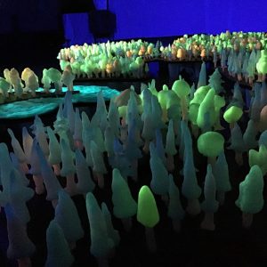 聖徳学園中学高等学校美術部「Art Forest」